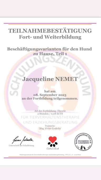 Teilnahmebestätigung - Beschäftigungsvarianten für den Hund teil 1