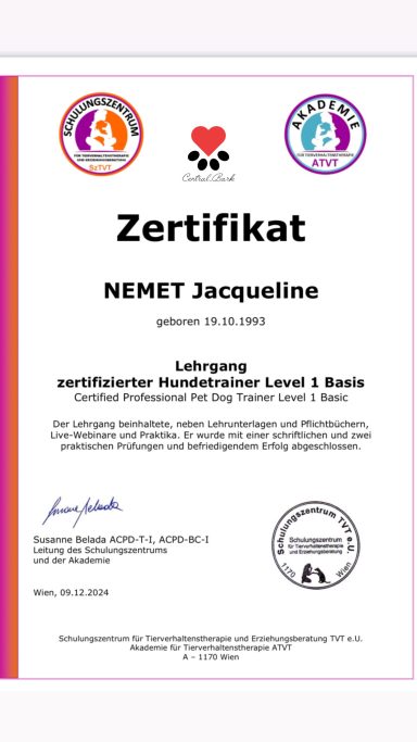 Zertifikat Hundetrainerin